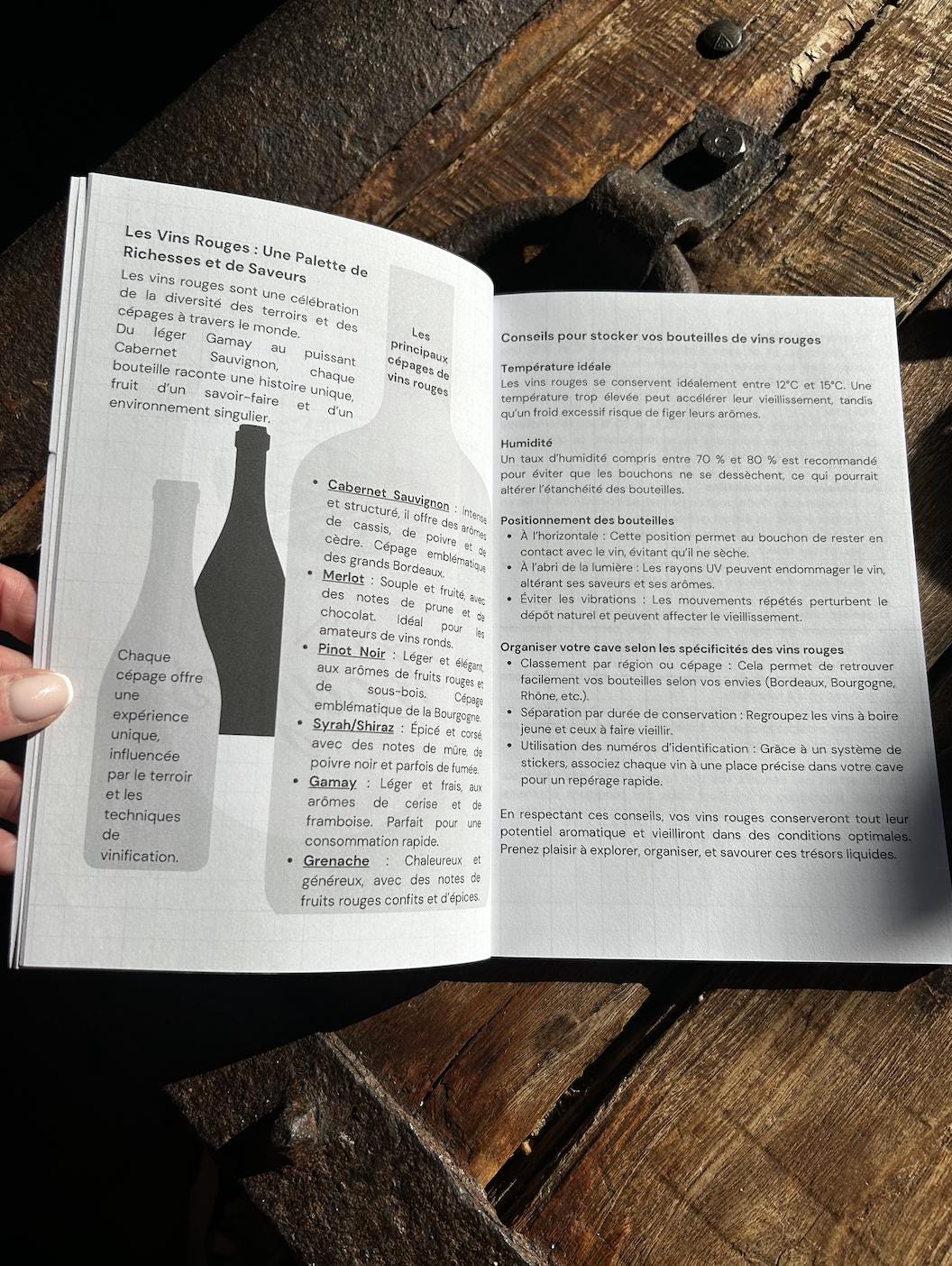 Livre de cave - l’outil indispensable pour tous les amateurs de vin - Cadeau pour Monsieur & Madame - Cadeau pour les passionnés de vin