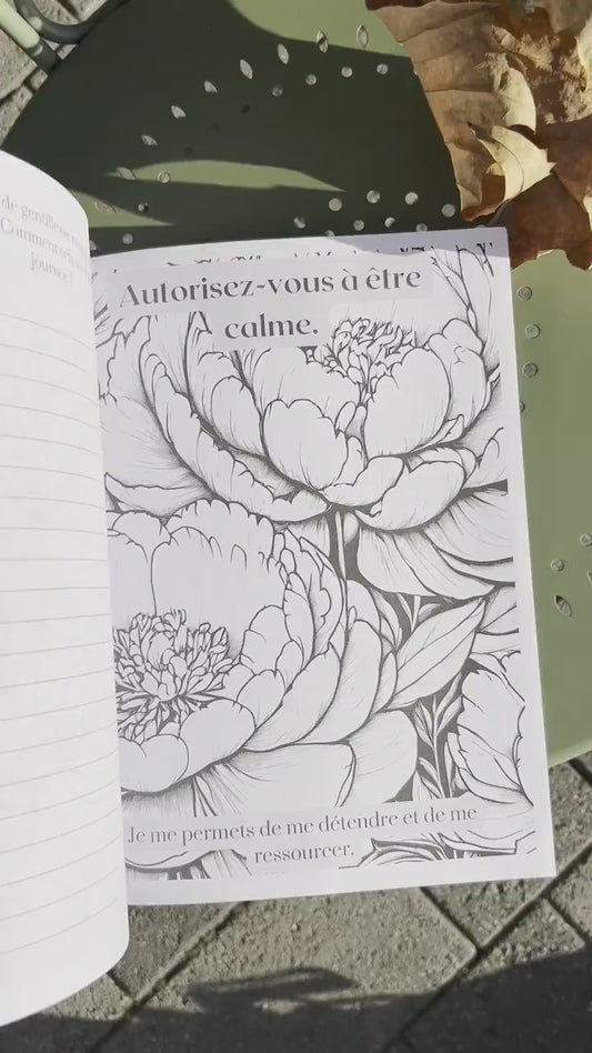 Livre de coloriage pour adultes avec affirmations positives pour sérénité & bien-être, cadeau pour elle, cadeau pour lui, cadeau st valentin